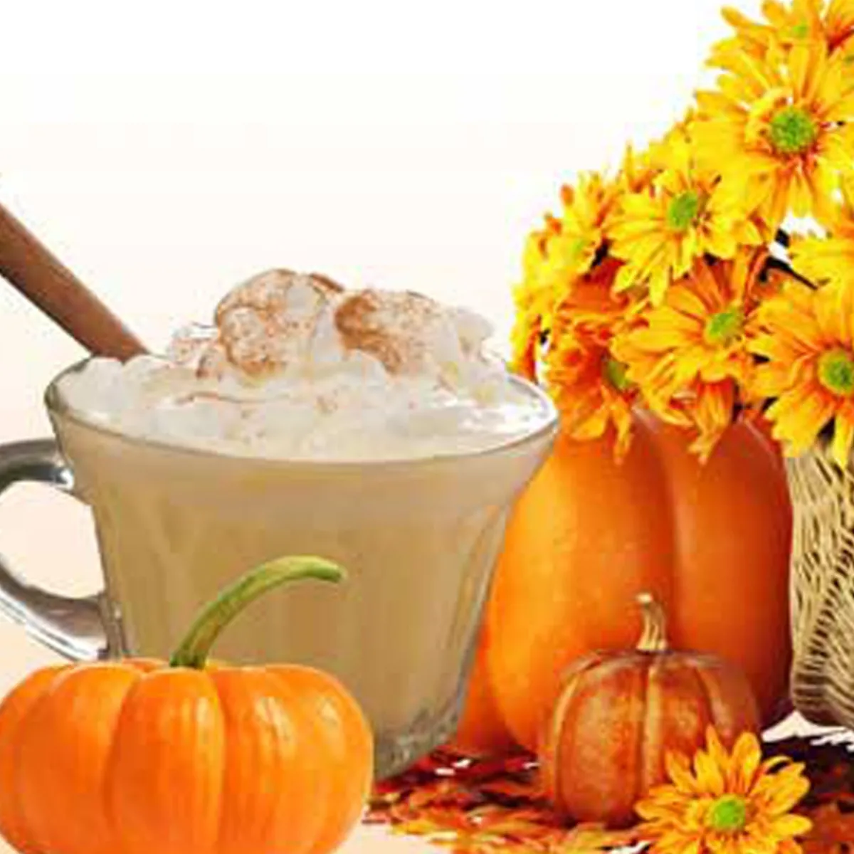 Nature's Garden Pumpkin Eggnog Fragrance Oil Best