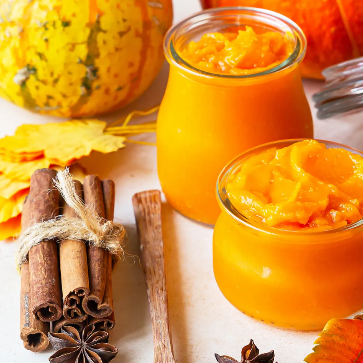 Nature's Garden Pumpkin Perfect Fragrance Oil Best