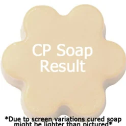 Nature's Garden Pumpkin Perfect Fragrance Oil Best