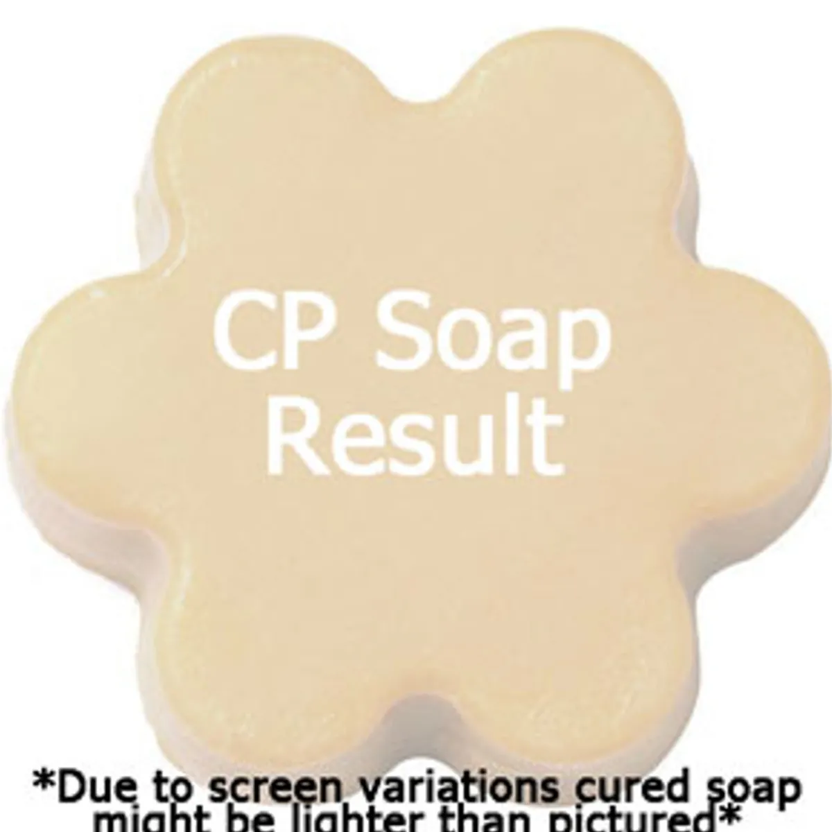 Nature's Garden Pumpkin Perfect Fragrance Oil Best