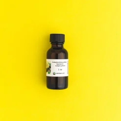 Nature's Garden Pure Eucalyptus Globulus Essential Oil (80/82) Clearance