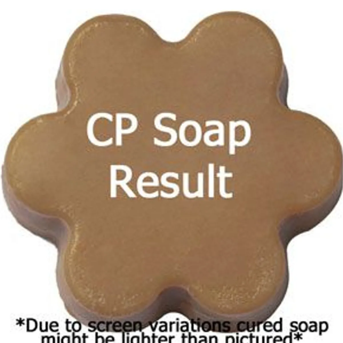 Nature's Garden Rum Ripened Raisin Fragrance Oil Best