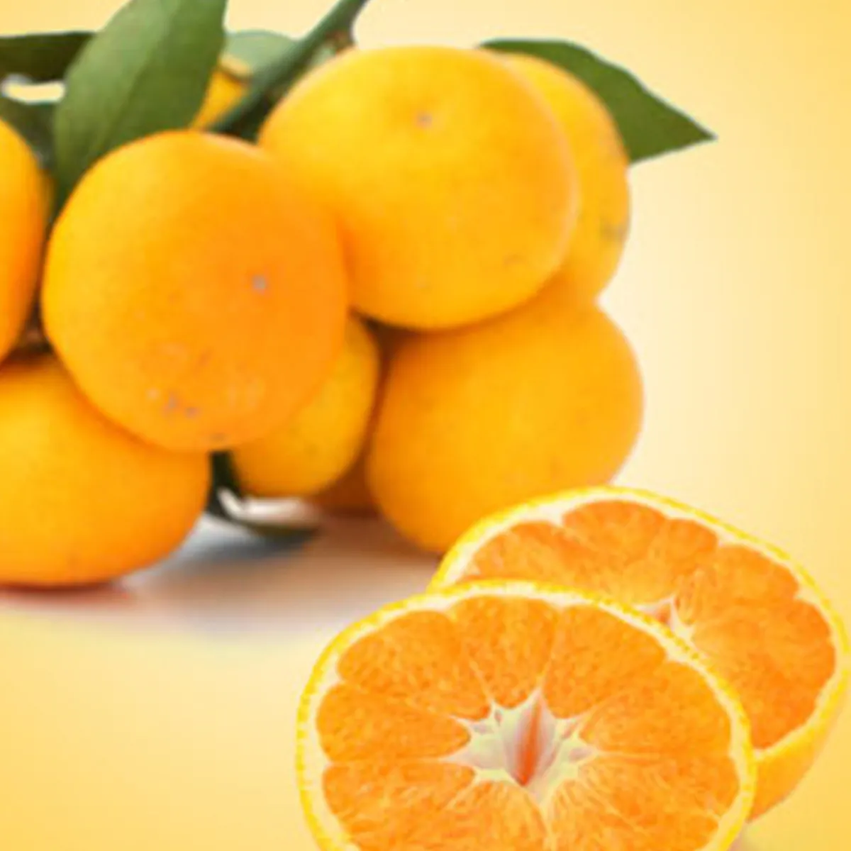 Nature's Garden Satsuma Fragrance Oil Online