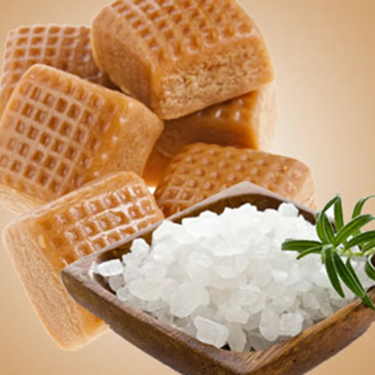 Nature's Garden Sea Salt Caramels Fragrance Oil Discount