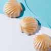 Nature's Garden Seashell Wax Melt Kit Hot