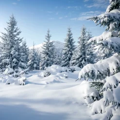 Nature's Garden Snowswept Forest Fragrance Oil