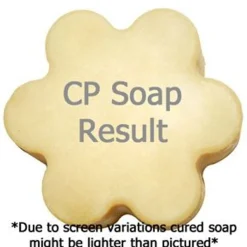 Nature's Garden Solar Eclipse Fragrance Oil Clearance