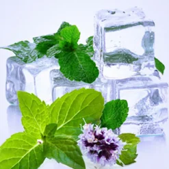 Nature's Garden Spearmint Fragrance Oil New