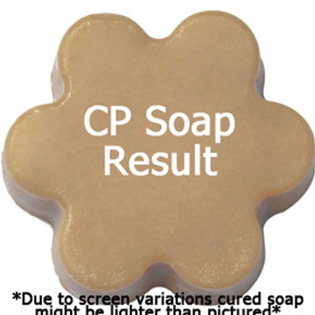 Nature's Garden Spiced Caramel Cake Fragrance Oil Outlet