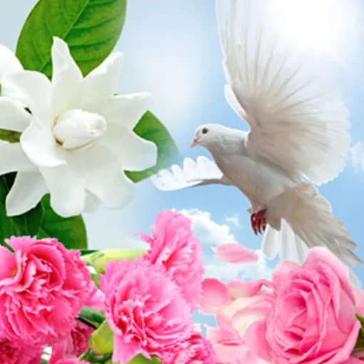 Nature's Garden Spiritual Awakening Fragrance Oil Best