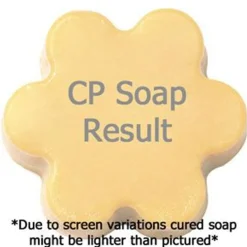 Nature's Garden Strawberry Champagne Punch Fragrance Oil Best