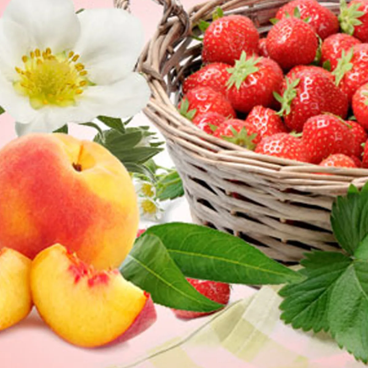 Nature's Garden Strawberry Patch Type Fragrance Oil Best