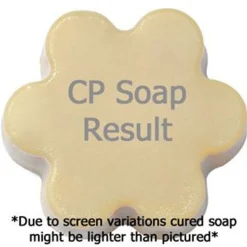 Nature's Garden Sunset Reverie Fragrance Oil Discount