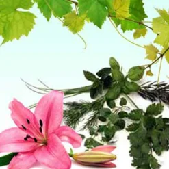 Nature's Garden Sweet Patchouli Fragrance Oil Hot