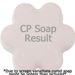 Nature's Garden The Perfect Man Fragrance Oil Clearance