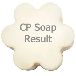 Nature's Garden Tipsy Gingerbread Man Fragrance Oil Best