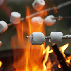 Nature's Garden Toasted Marshmallow Fragrance Oil New