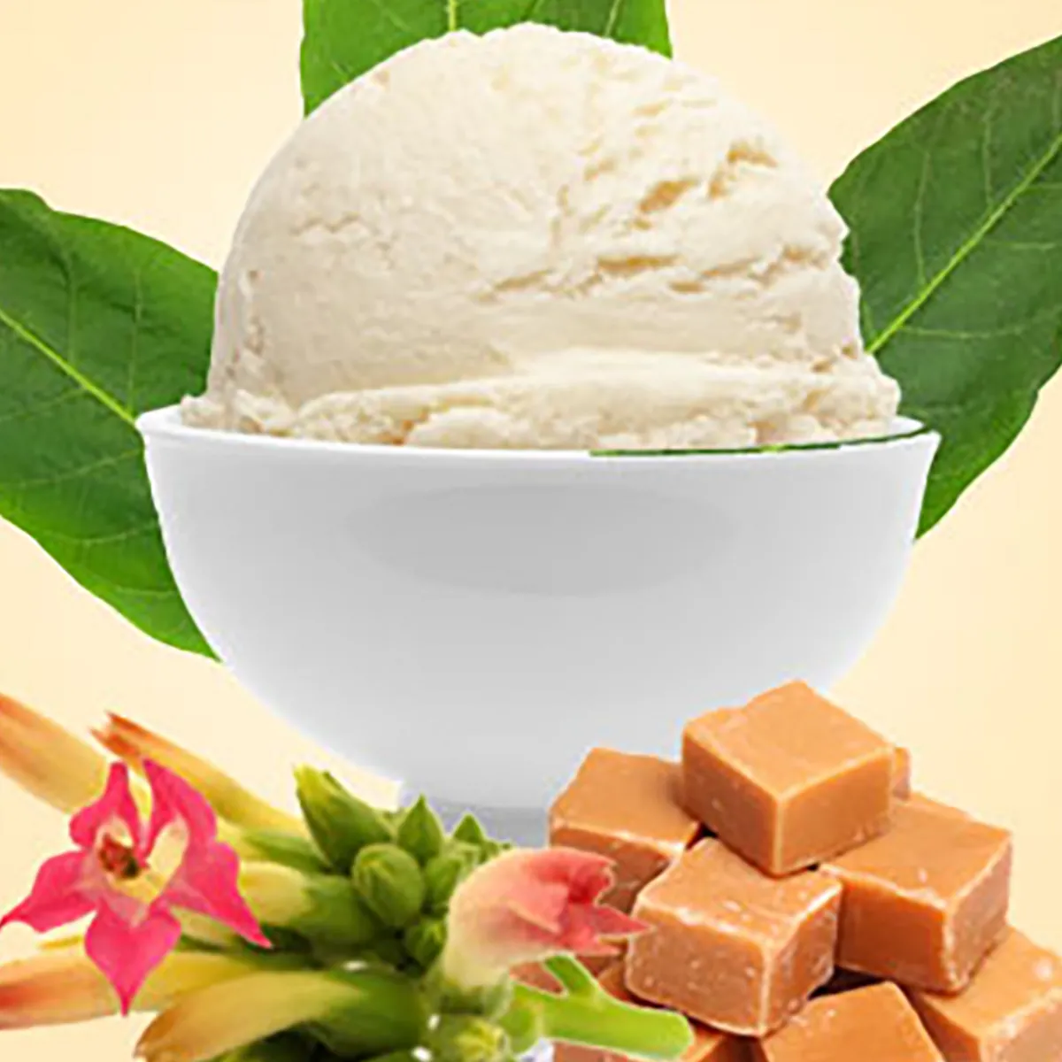 Nature's Garden Tobacco Caramel Type Fragrance Oil Outlet