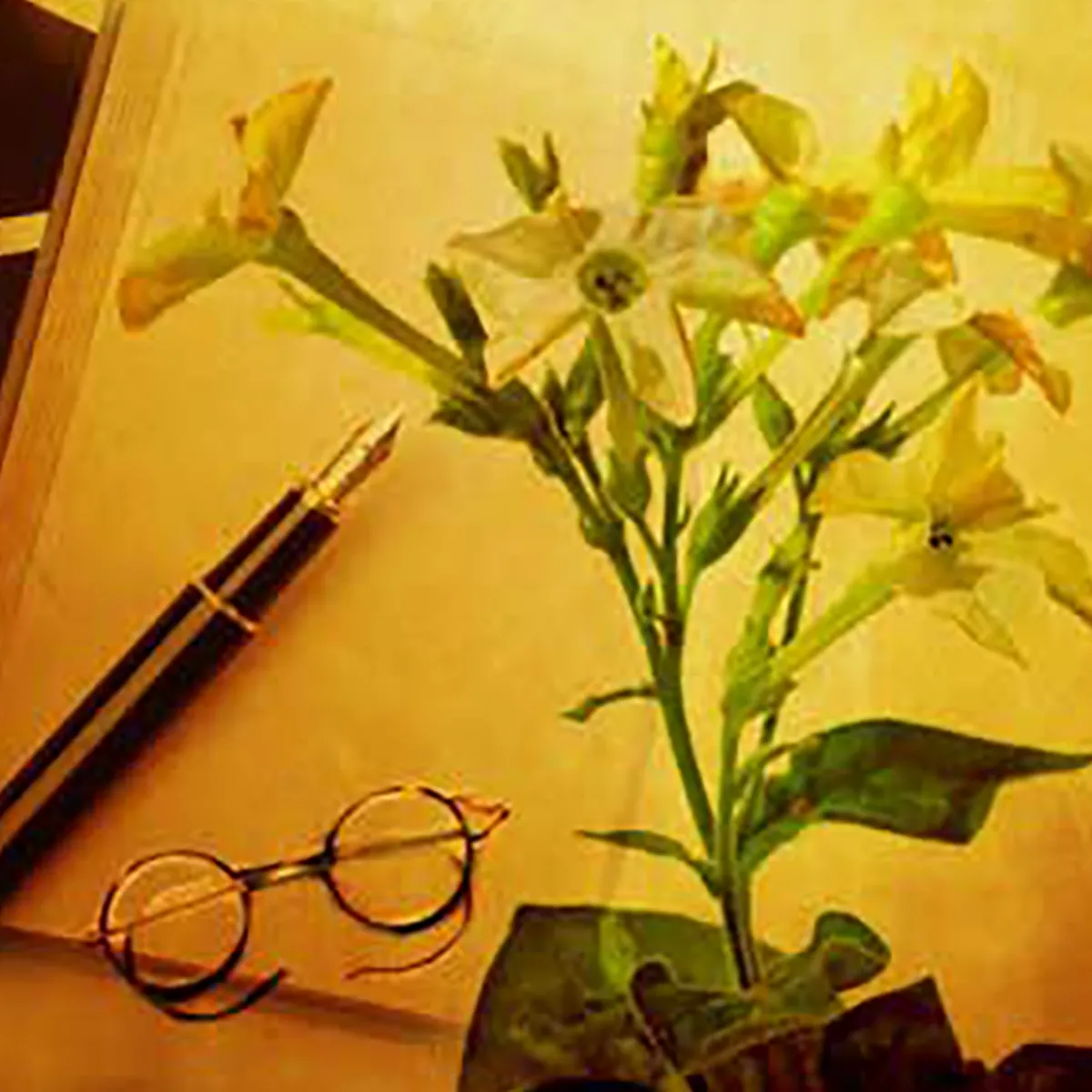 Nature's Garden Tobacco Fragrance Oil Discount