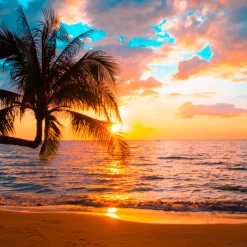 Nature's Garden Tropical Sunrise Fragrance Oil Outlet