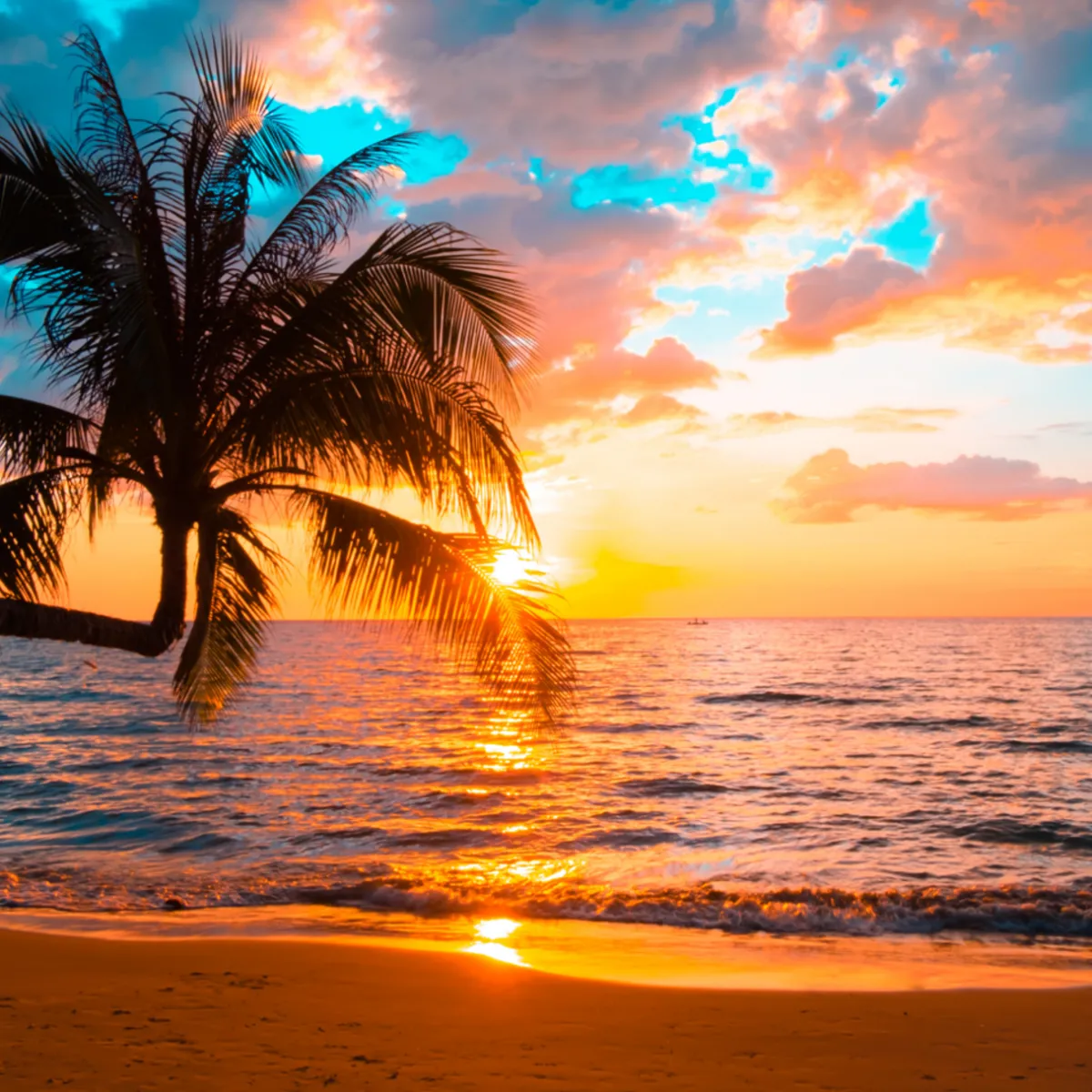 Nature's Garden Tropical Sunrise Fragrance Oil Outlet