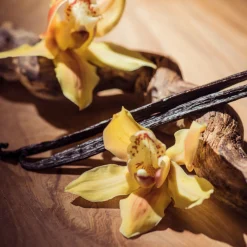 Nature's Garden Vanilla Kiss Fragrance Oil Outlet