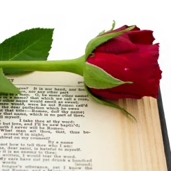 Nature's Garden Watch Out Romeo Fragrance Oil