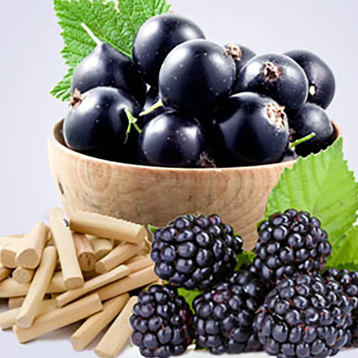 Nature's Garden Wild Currant Sandalwood Fragrance Oil