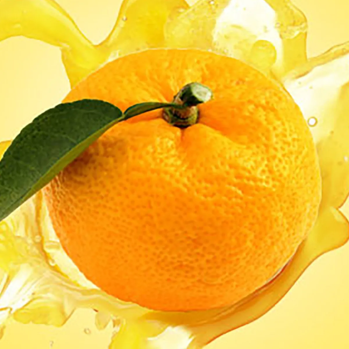 Nature's Garden Yuzu Fragrance Oil Best